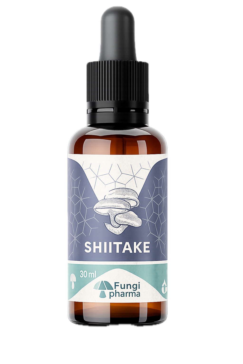 Extracto Shiitake